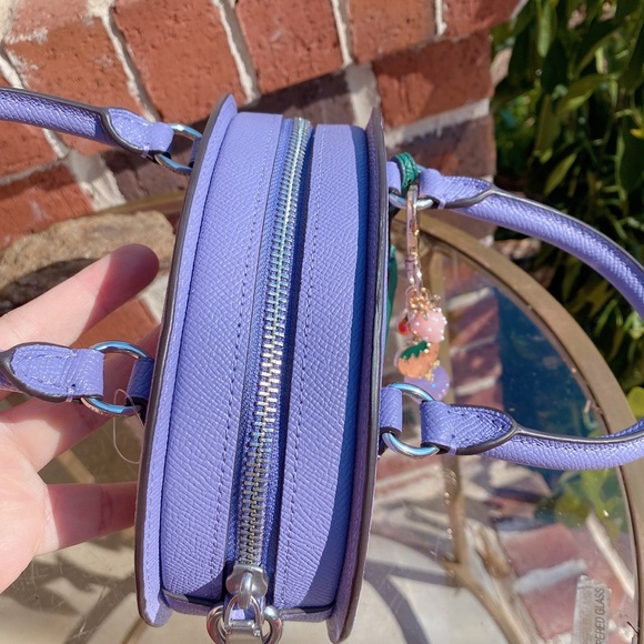 NWT Coach Blueberry Crossbody with Handmade Strawberry Cluster Bag Charm CR253 - Picture 6 of 9